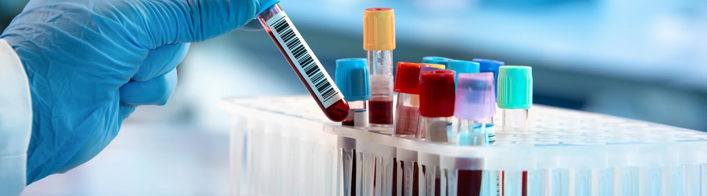 Shutterstock 1114244621