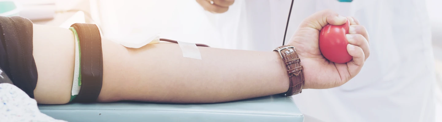 Shutterstock 541600759