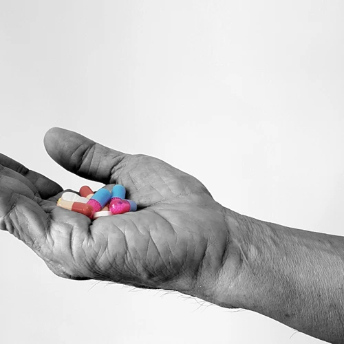 Shutterstock 1535498555